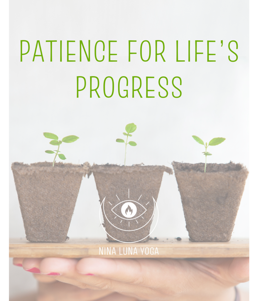 Patience for Life's Progress 